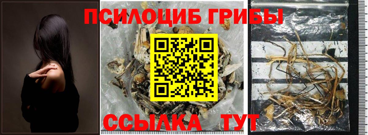 Псилоцибиновые грибы мухоморы Иваново