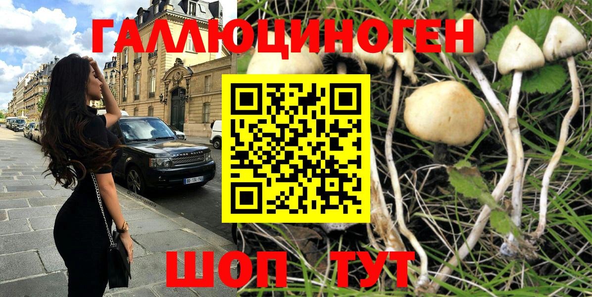 Иваново  Галлюциногенные грибы MAGIC MUSHROOMS  Псилоцибиновые грибы ЛСД  Вход с VPN 